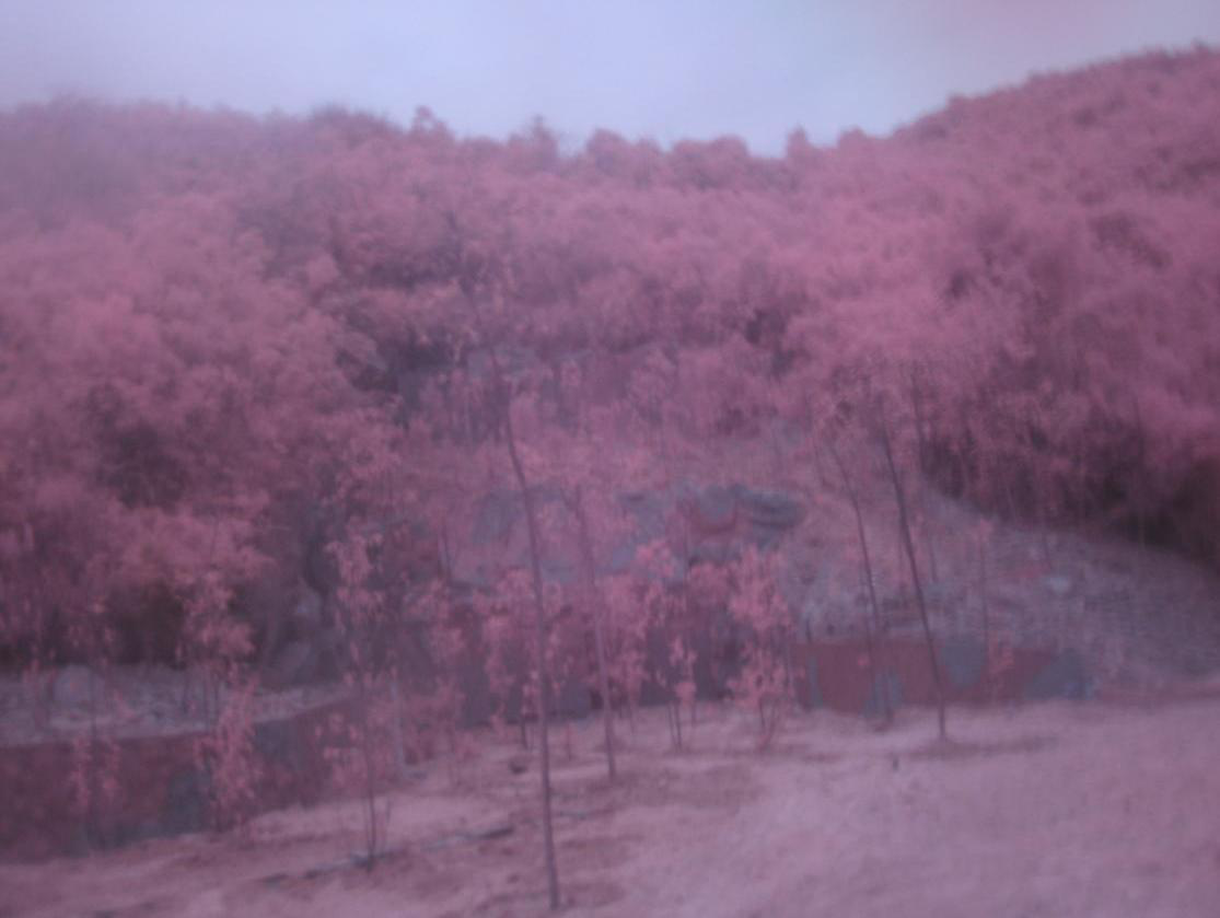 ��(f��)�ϟo(w��)�C(j��)�͹��̂��b�Բ�Ϳ��